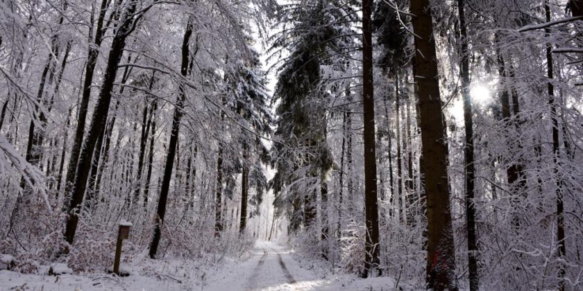 Schwäbische Alb (Deutschland) Winter 2020/2021 Fotos