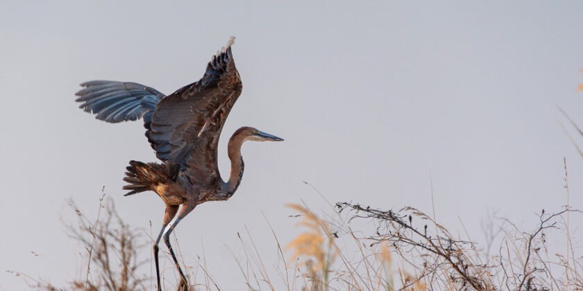 Namibia – Links