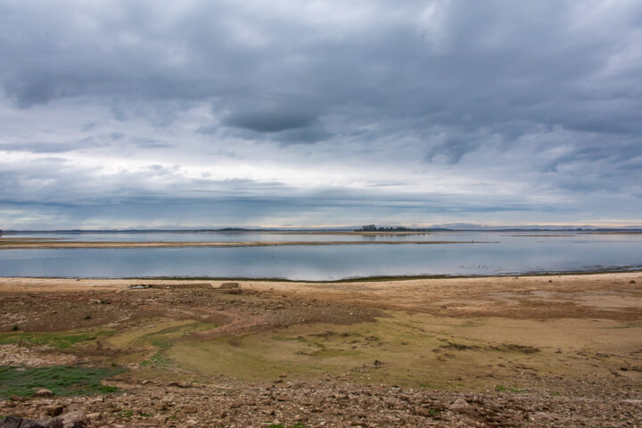 Am Morgen am Lac du Der